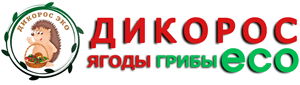 Dikoros Eko