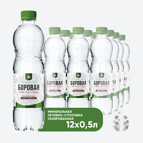 BOROVAYA water (BOROVAYA)therapeutic and canteen mineral drinking natural sulfate-calcium carbonated, PET, 0.5 l x 12 pcs