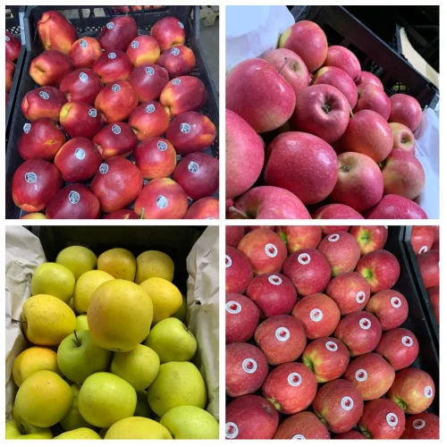 Apples Azerbaijan
