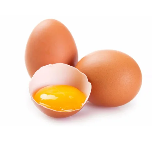 chicken egg 