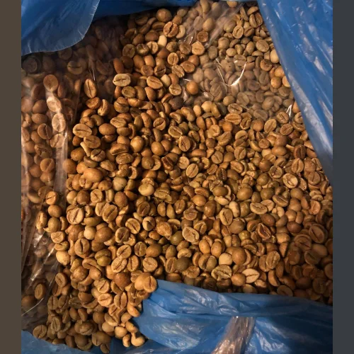 Green coffee beans, Robusta India. India Robusta AAA