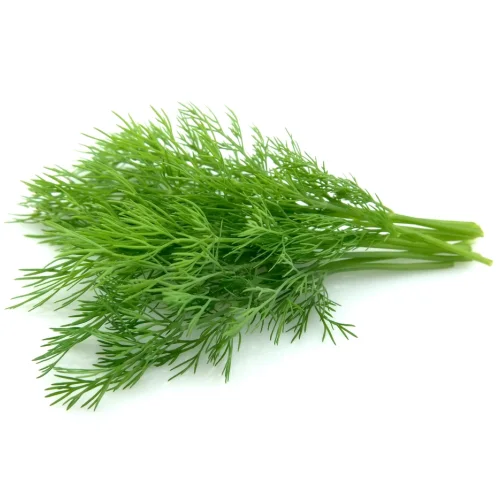 Dill Weight