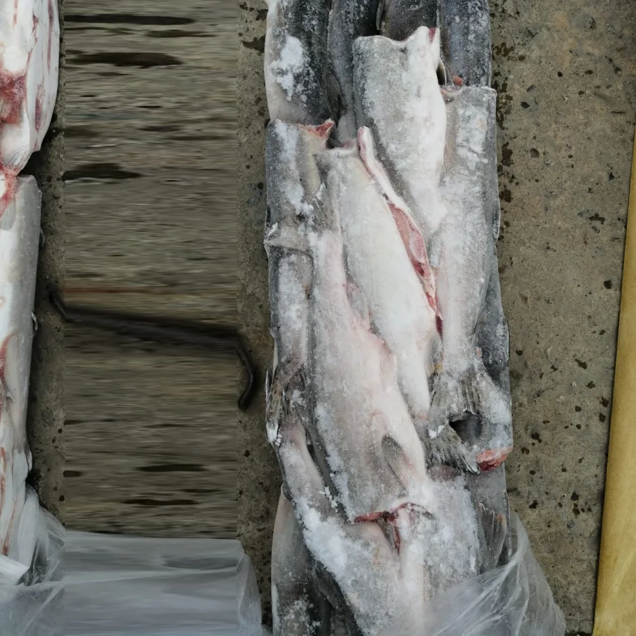 Pink salmon PBG (2*10kg) 200,00