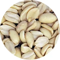 Raw blanched peanuts 100 gr