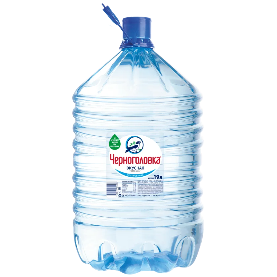 Drinking water CHERNOGOLOVKA 19 l, disposable container