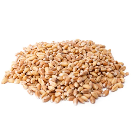 Пшеница кормовая, 25 кг