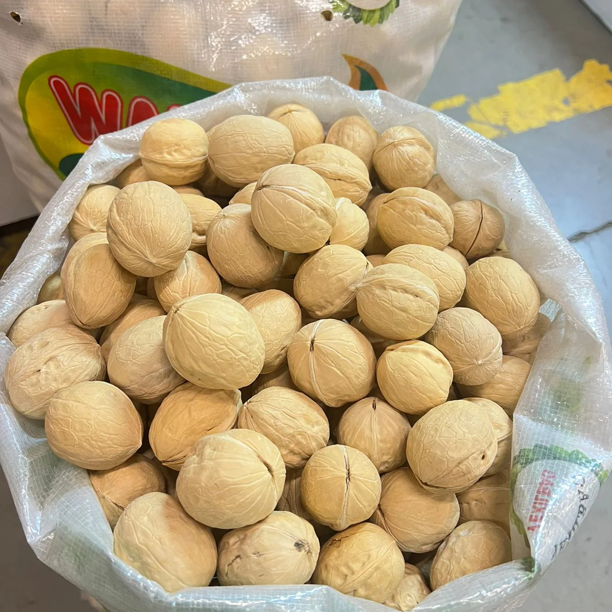 A nut in a shell 33+