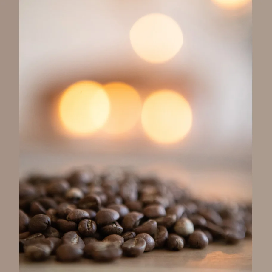 Кофе в зернах Баварский шоколад (свежеобжаренный кофе с ароматом шоколада, Арабика 100%, средняя обжарка), дой-пак, 250 грамм