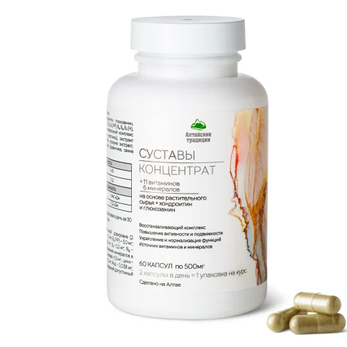 Joints concentrate with saber extract and chondroitin +11 vitamins and 6 minerals, 60 capsules