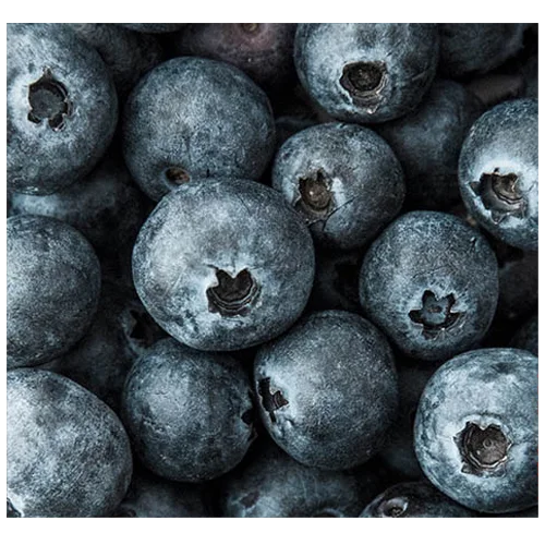 Blueberries (wild)