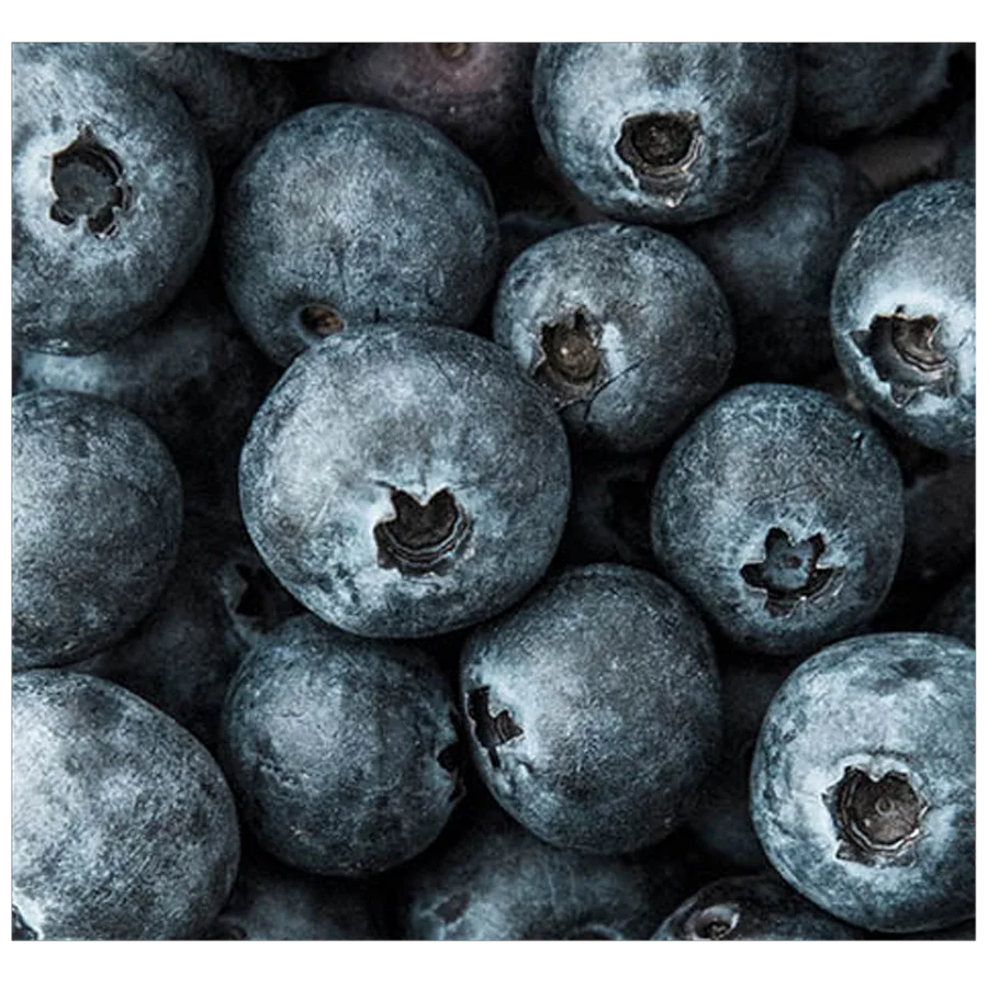 Blueberries (wild)
