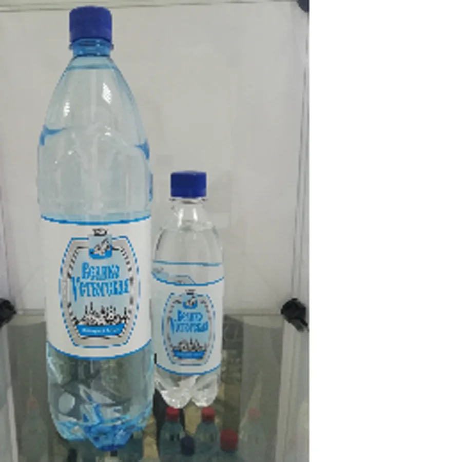 Питьевая вода Великоустюгская, 0.5л