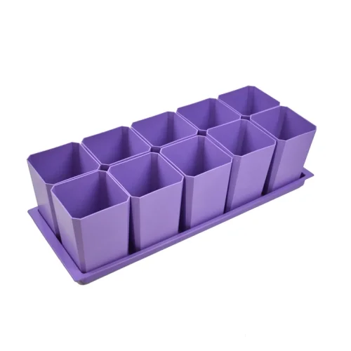 Seedling kit 10*0.75L Purple