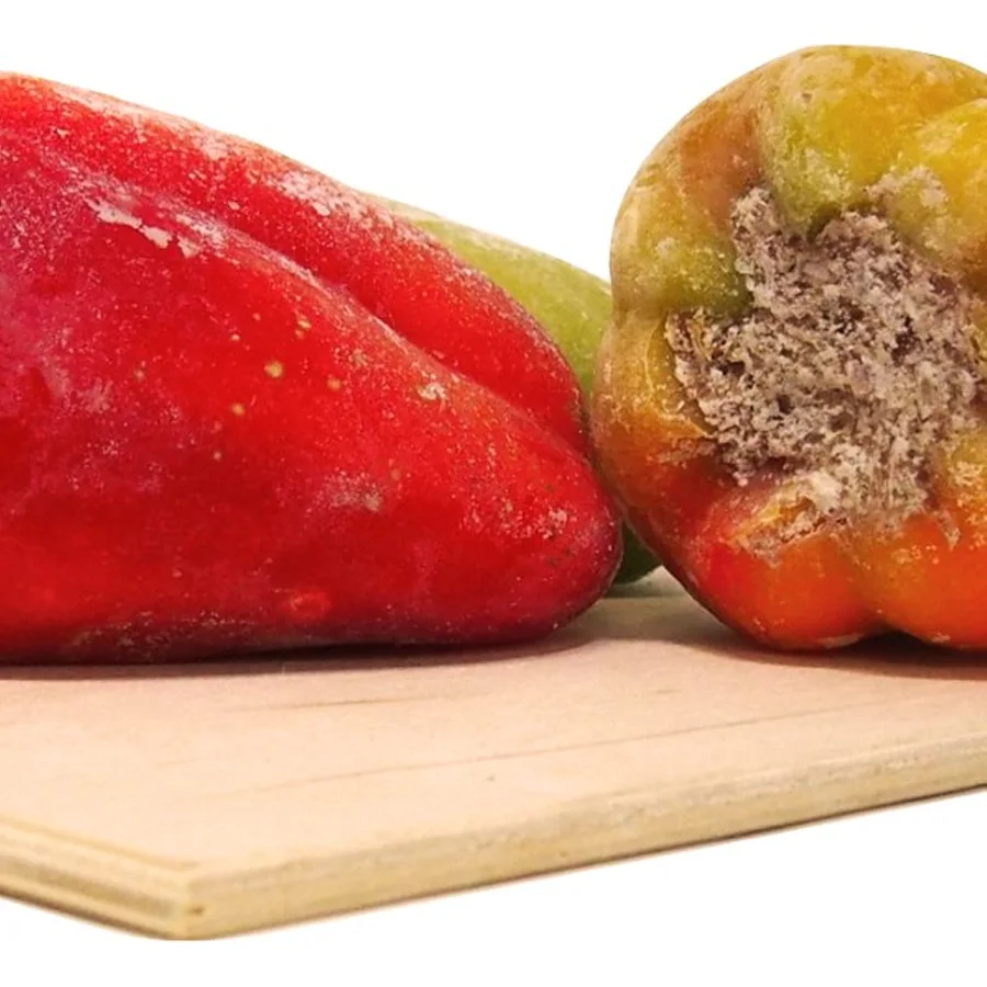 Pepper stuffed «spicy«