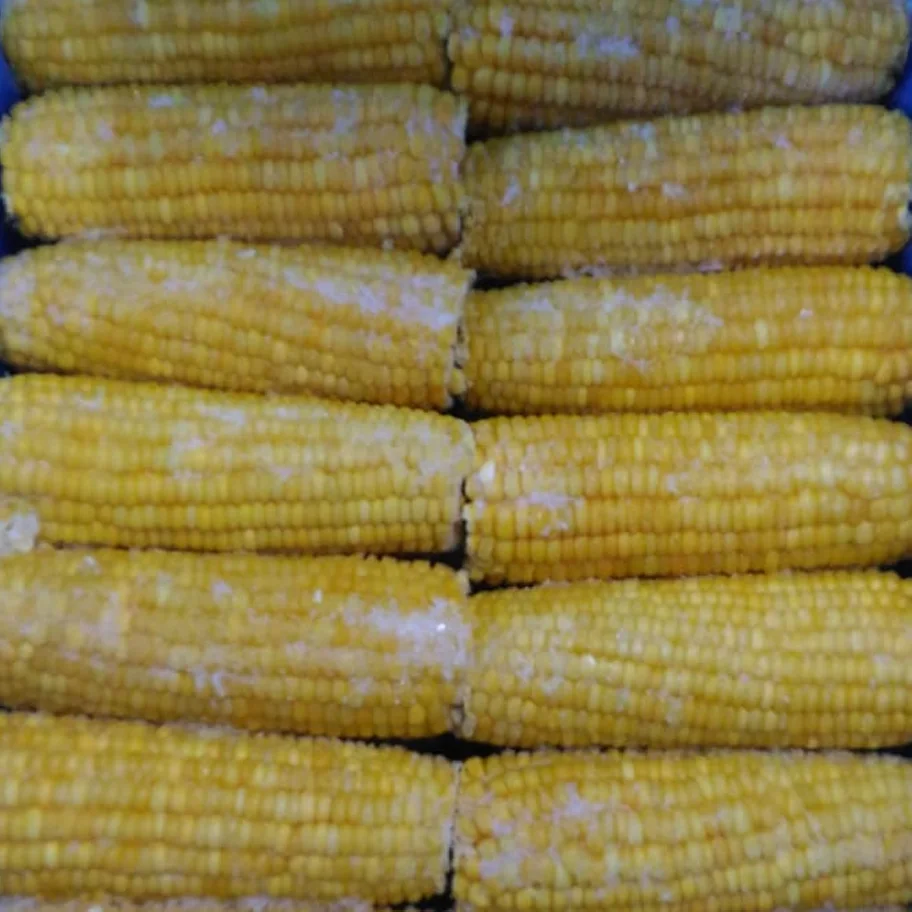 Frozen maps of corn