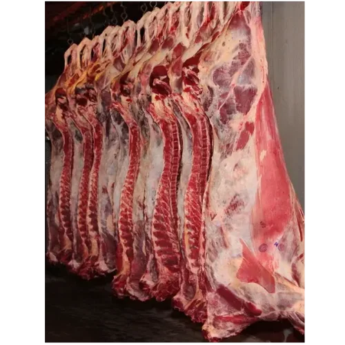 Beef carcass 140+