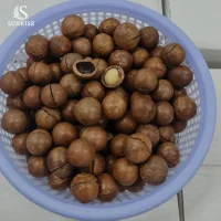 Macadamia Nuts from South America