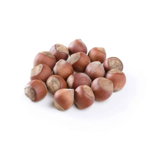 Hazelnuts in the shell