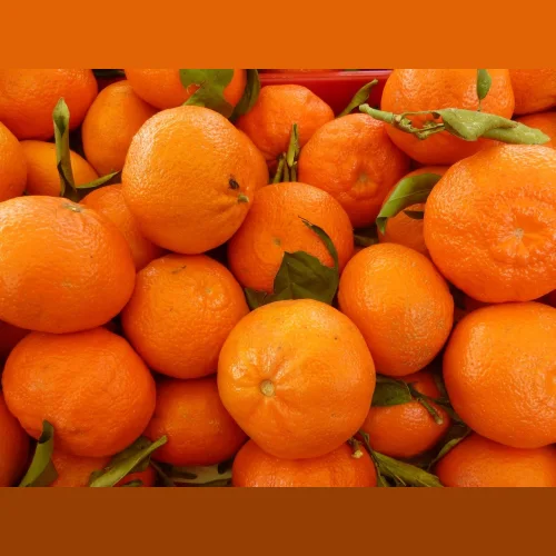 Fresh Tangerines 