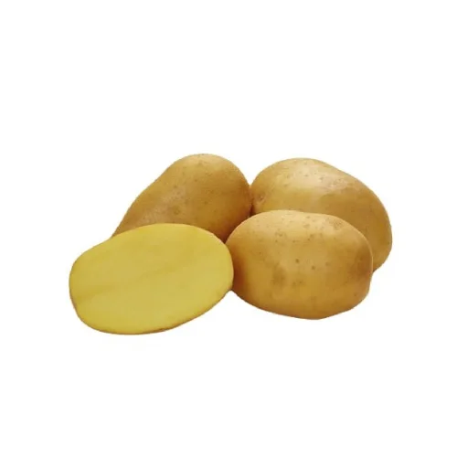 Seed potatoes "LISANA"