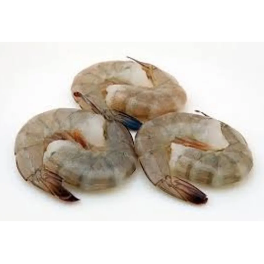 Bath shrimp b / g 21/25