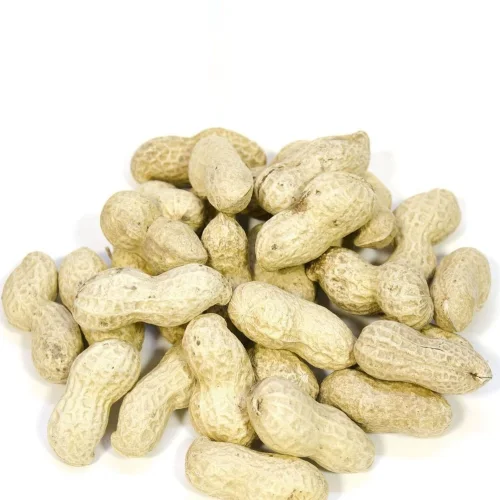 Peanuts in shell large fried 500 gr