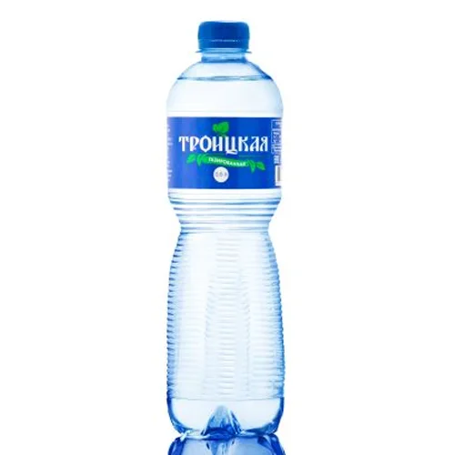 Troitskaya drinking water, gas, 0.6l