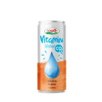 Витаминная вода с игристым фруктовым вкусом 250 мл OEM ODM Производитель напитков