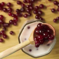 Yogurt 3.2%, 350 g. cranberries