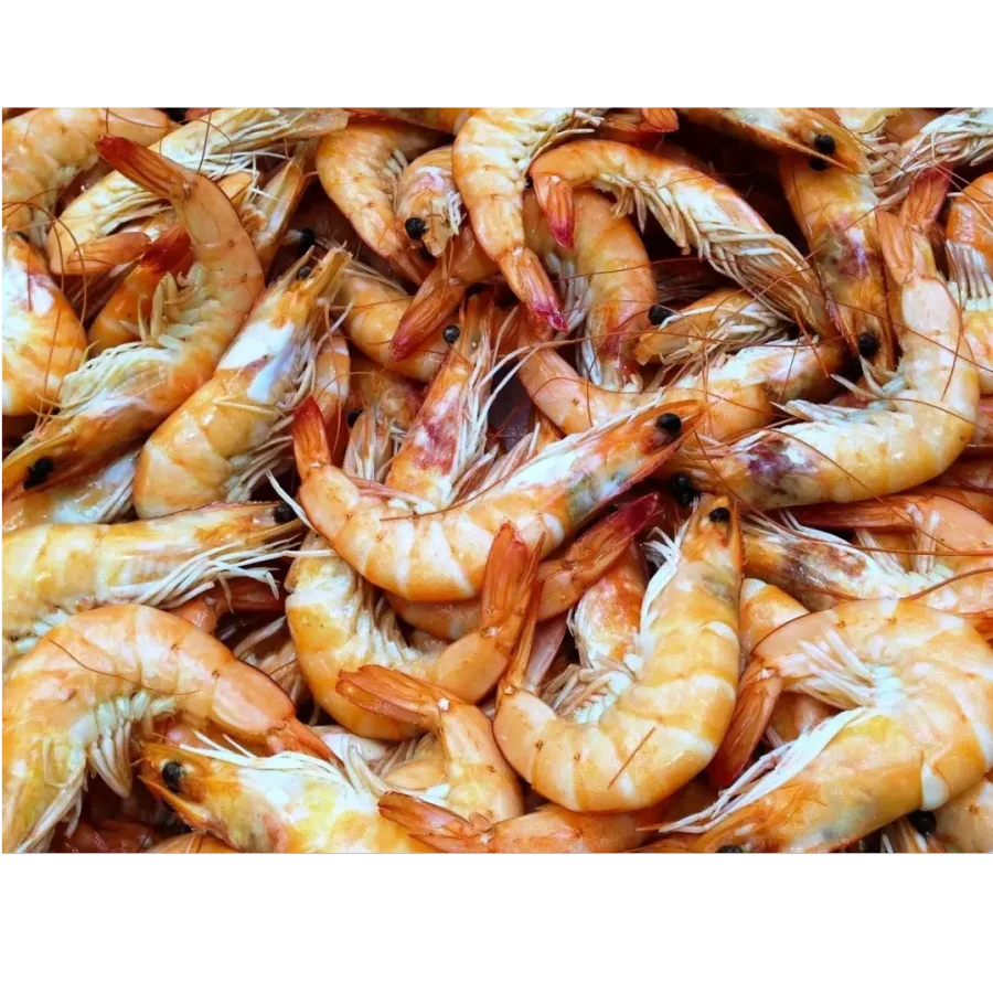 Shrimp (Langustina)