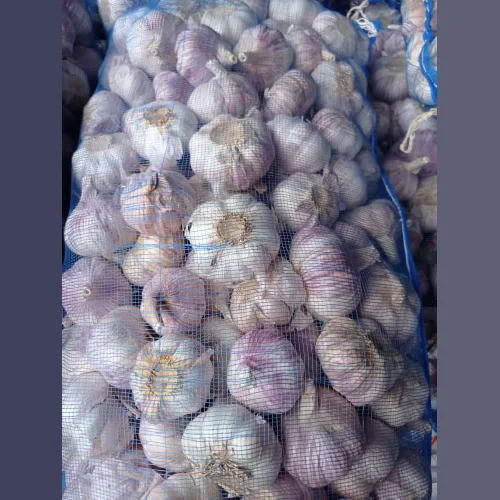 Fresh garlic (China)