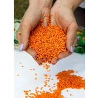 Red ground lentils