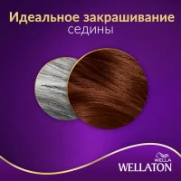 Wellaton Intensive Cream-Paint 5/5 Mahagon