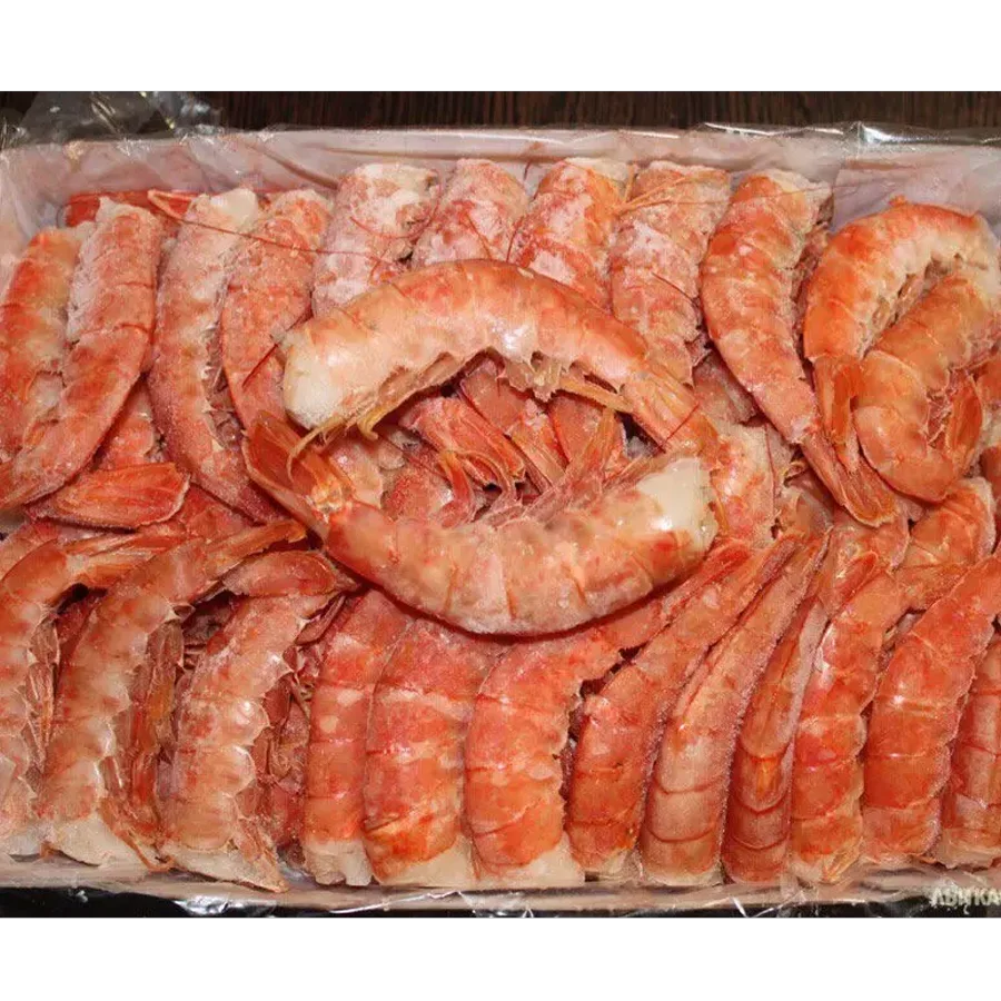Argentine shrimp