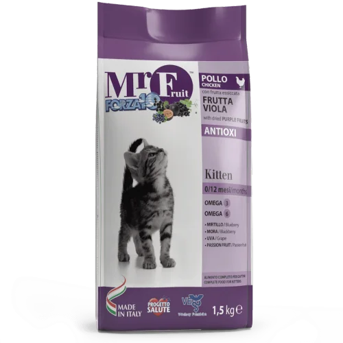 Complete dry food for kittens with extracts of purple fruit