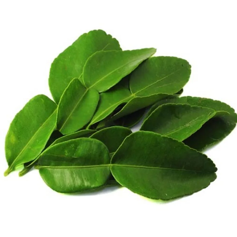 Leaves Kafir Lime