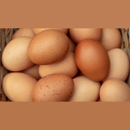 Chicken Egg C1 Belocaltvane