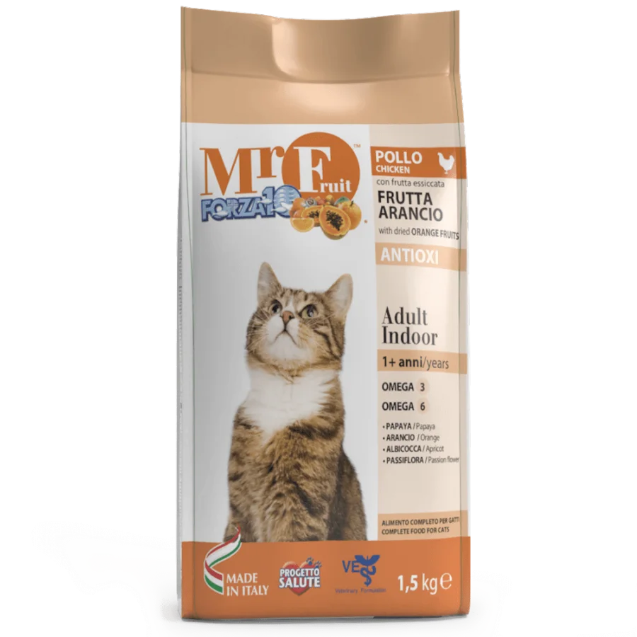 Full dry food for kittens with orange fruit extract