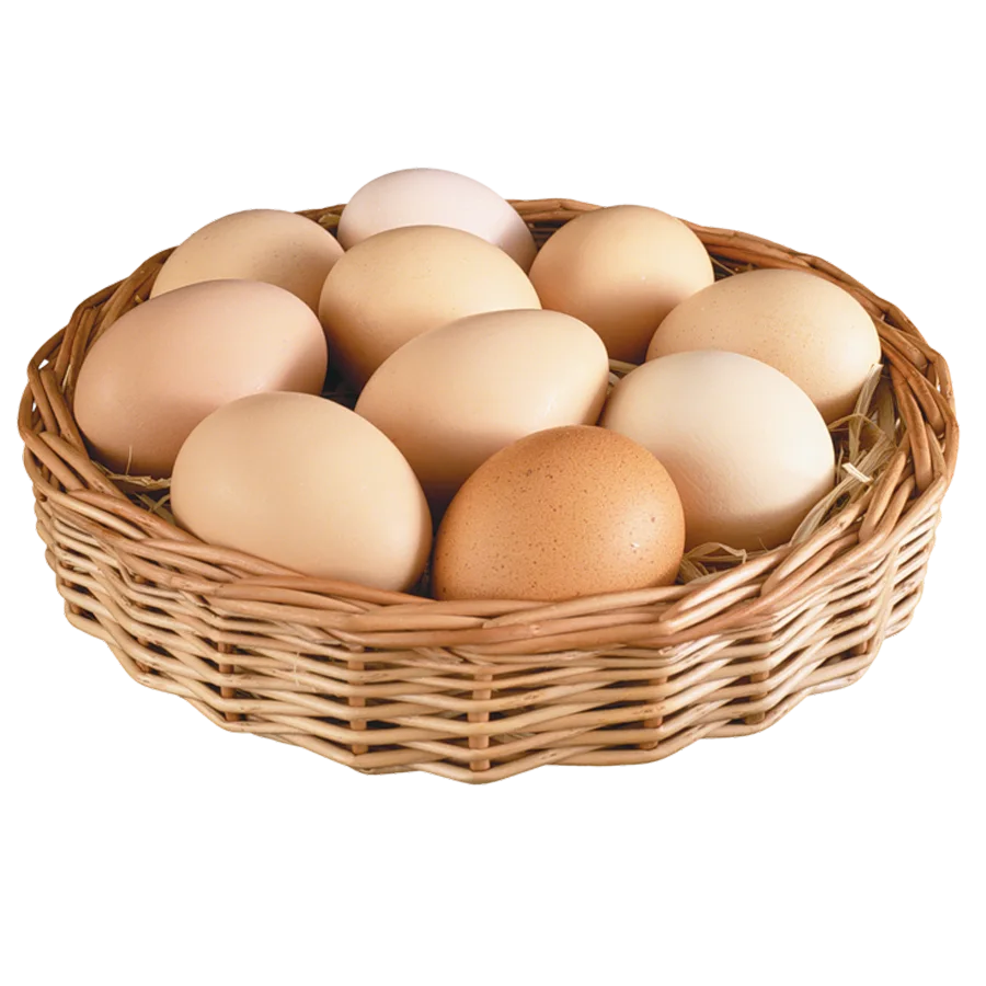 Яйцо куриное столовое первой категории