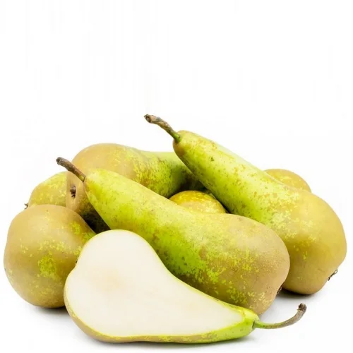 Pear "Conference"