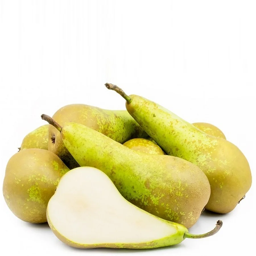 Pear "Conference"