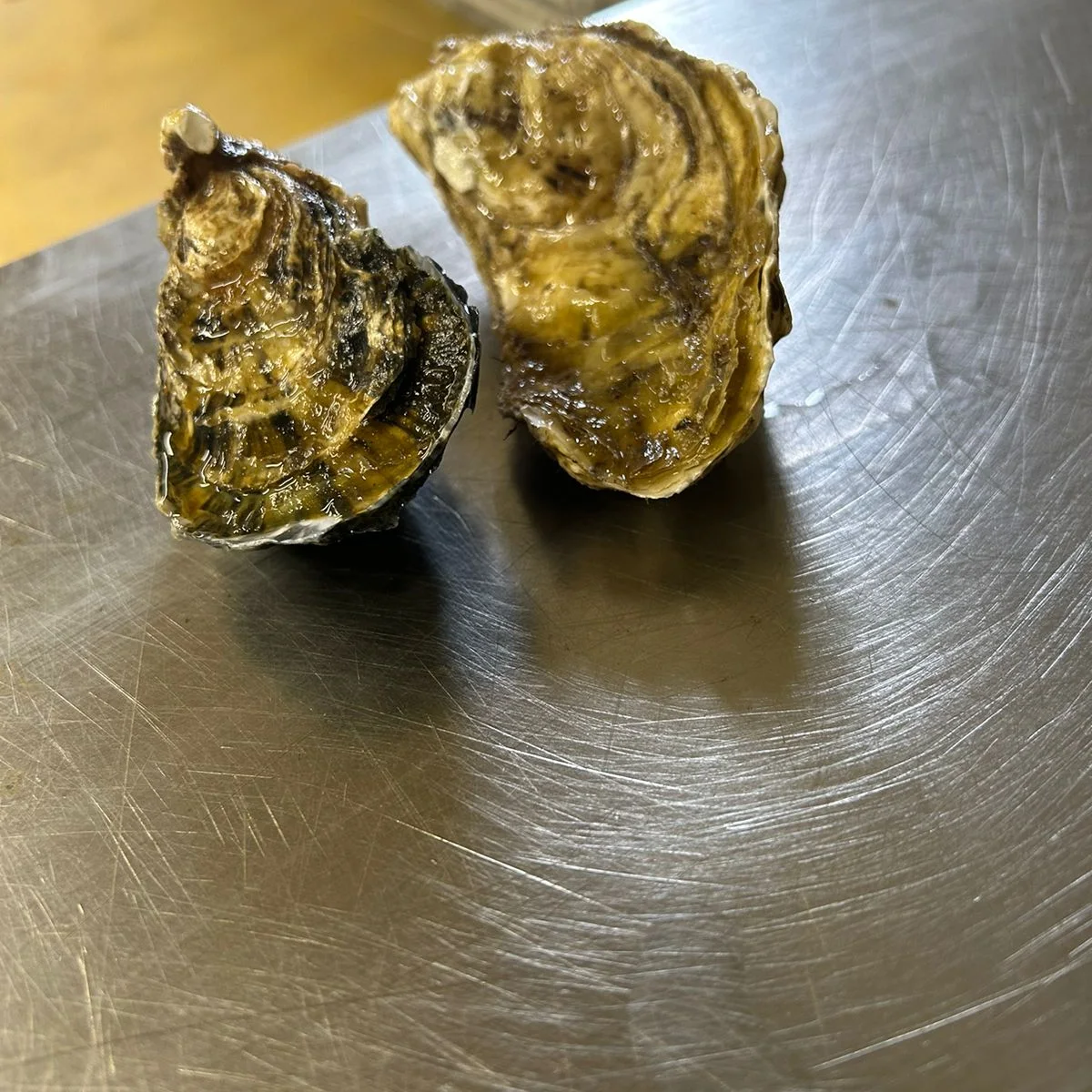 Crimean oyster