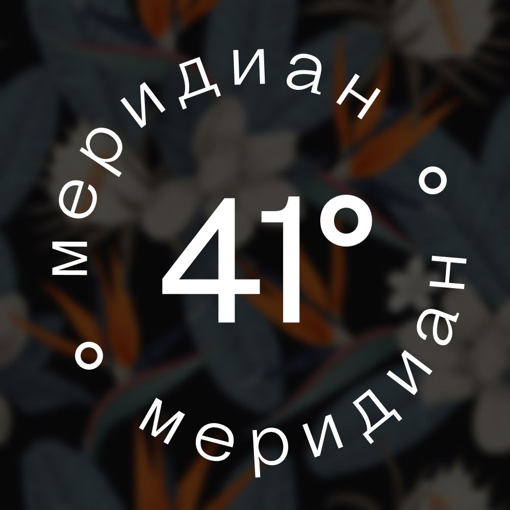41-й Меридиан