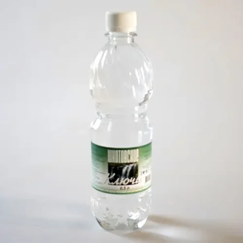 Питьевая вода Шкотовские ключи 0.5 л