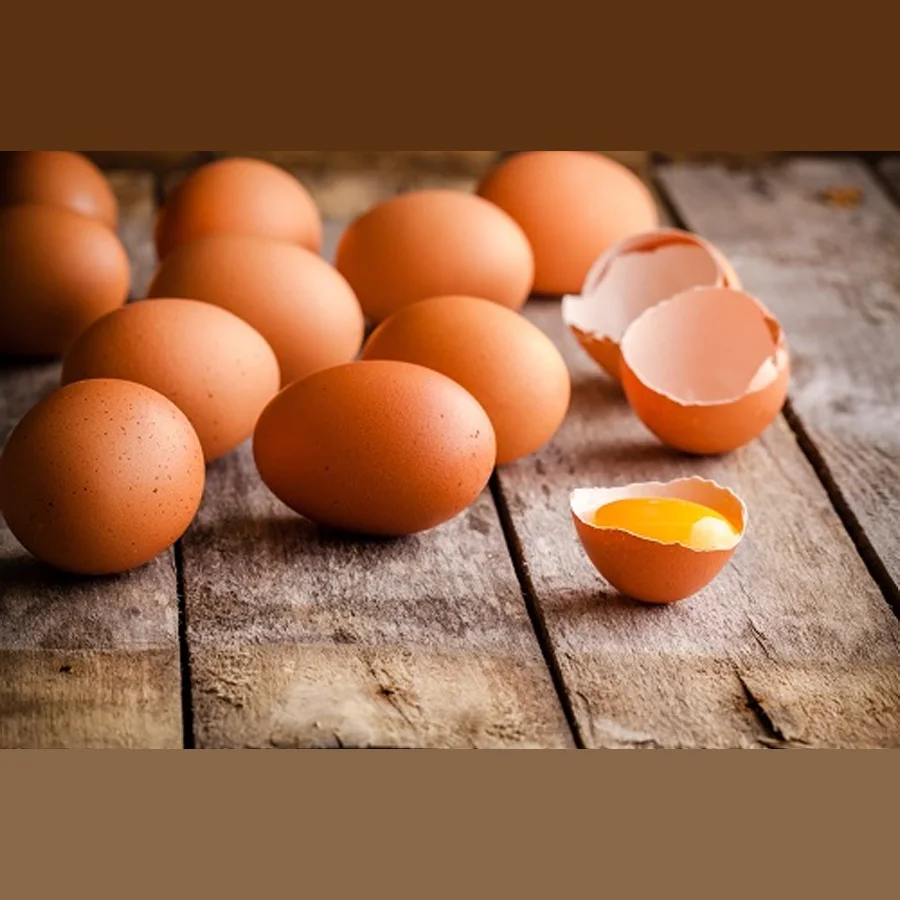 Chicken egg 