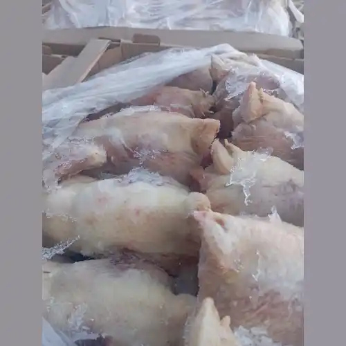 Chicken paws of category A Buy for 1 roubles wholesale, cheap 
