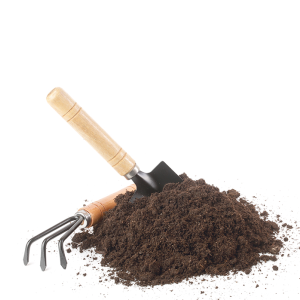 Soils and substrates