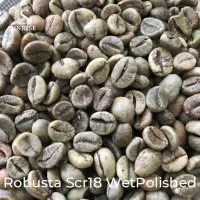 Green Robusta Coffee from Vietnam