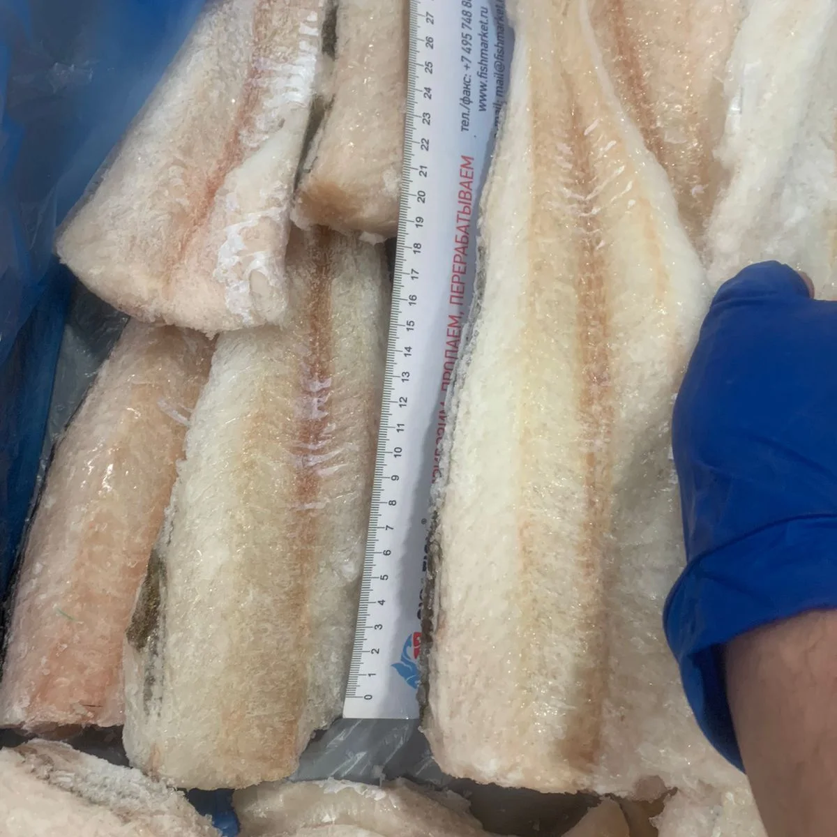 Cod FILLET WITHOUT SKIN IQF