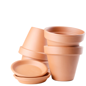 Pots for plants, kashpo